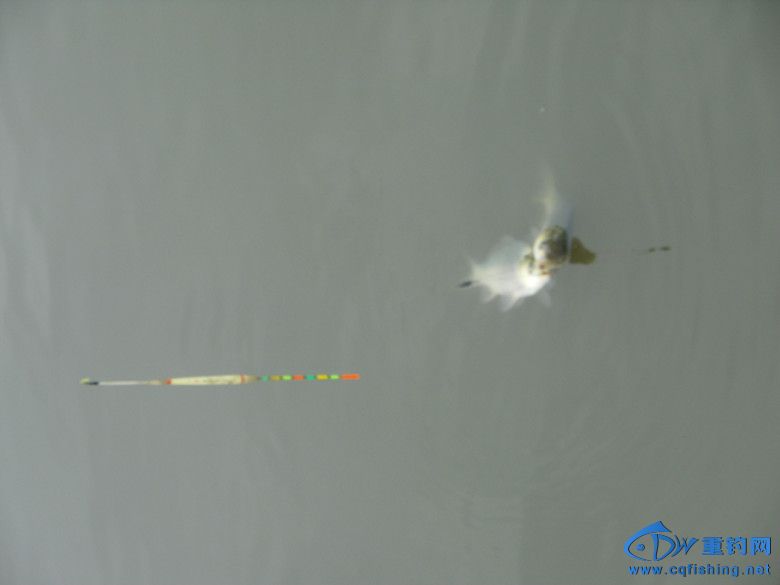 GEDC0020_.jpg