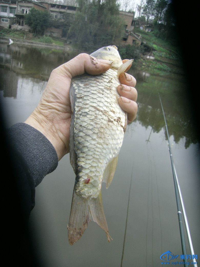 GEDC0031_.jpg