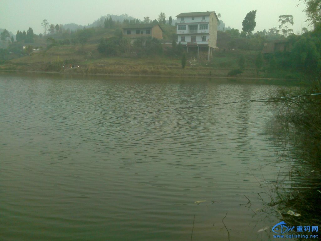 IMG1227160303.jpg