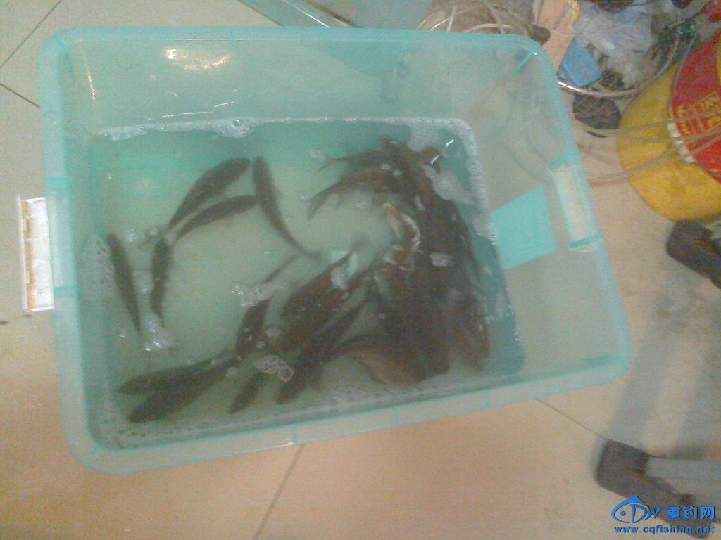 IMG1227212501.jpg