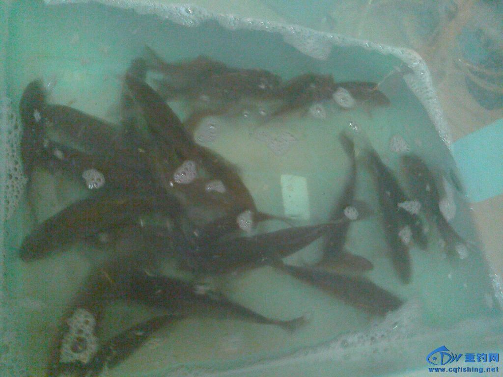 IMG1227212502.jpg