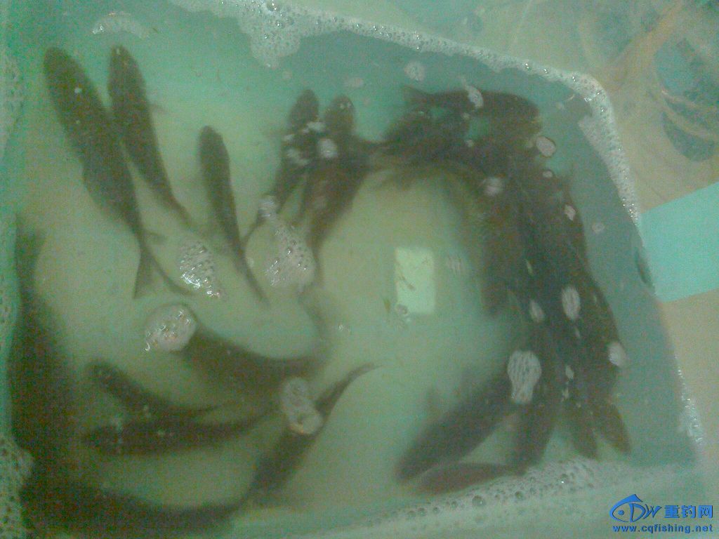 IMG1227212504.jpg