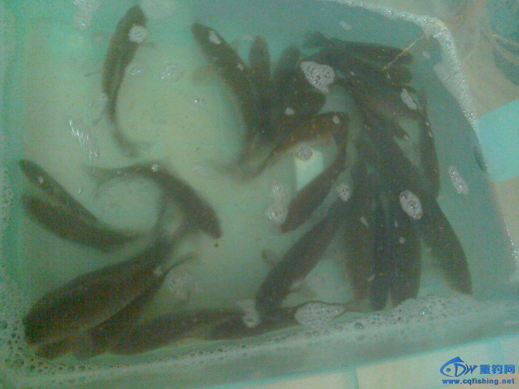 IMG1227212600.jpg