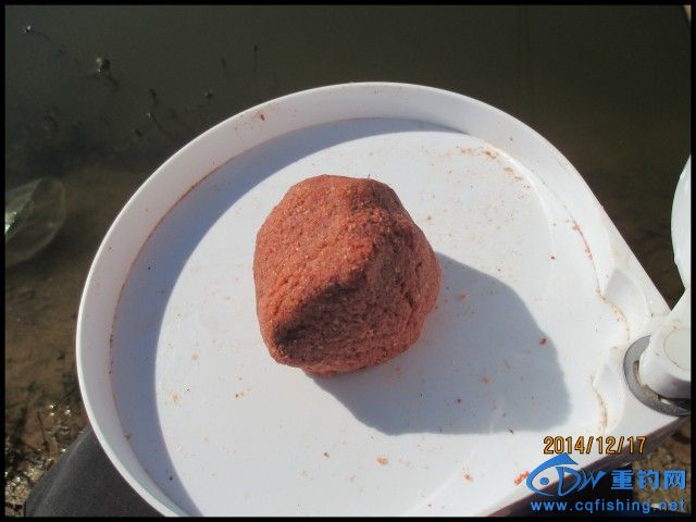 conew_img_0152.jpg