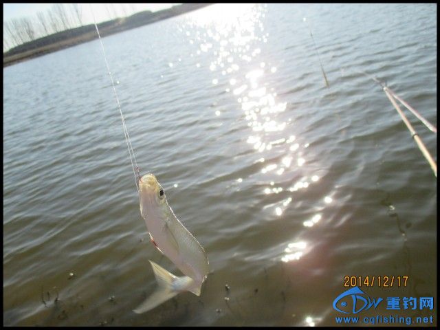 conew_img_0155.jpg