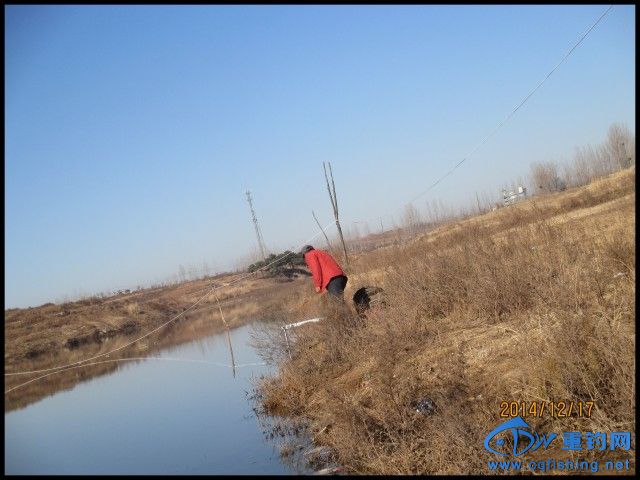 conew_img_0153.jpg
