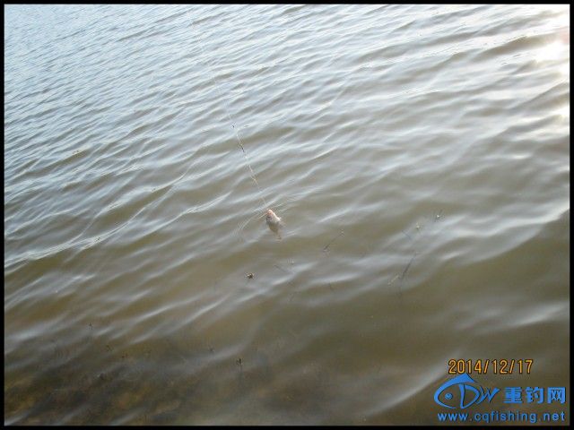 conew_img_0159.jpg