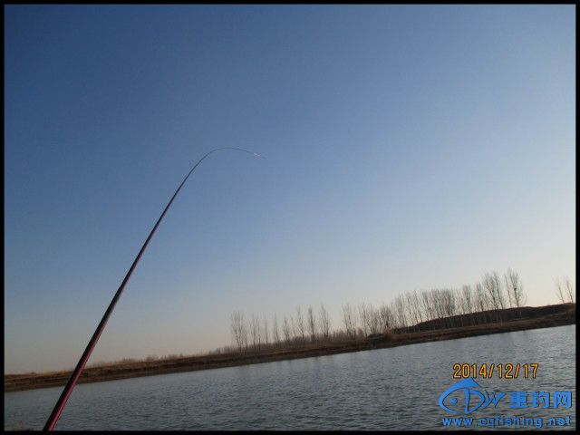 conew_img_0164.jpg