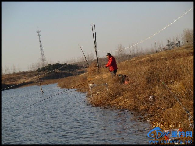 conew_img_0162.jpg