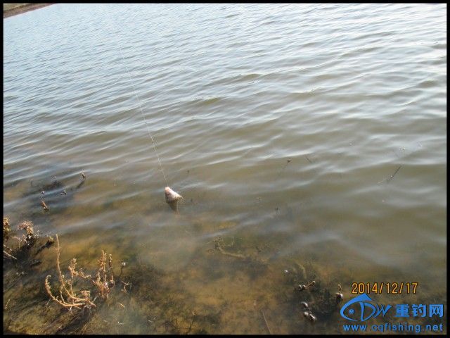 conew_img_0166.jpg