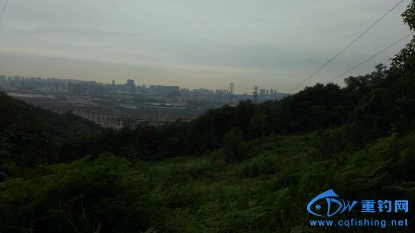 IMAG0498.jpg