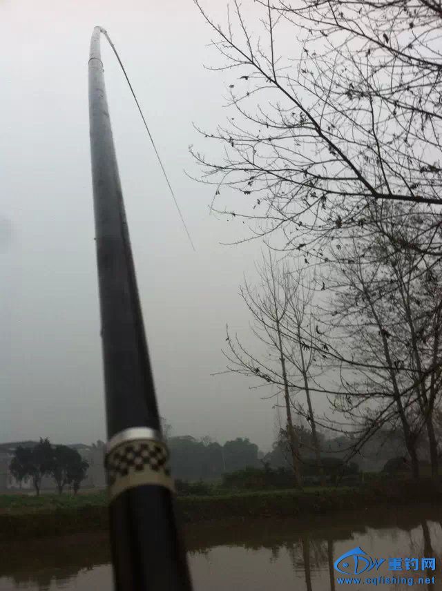 yu16.jpg