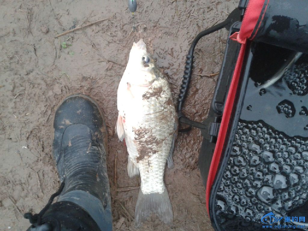 20150105_162422.jpg