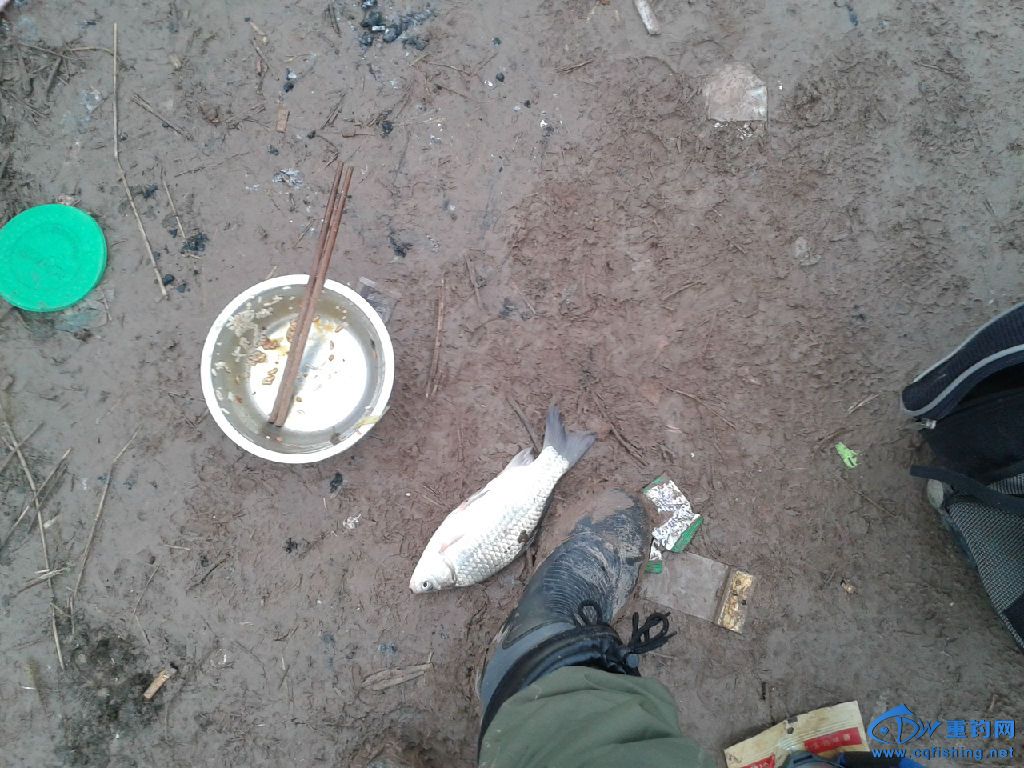 20150105_144124.jpg
