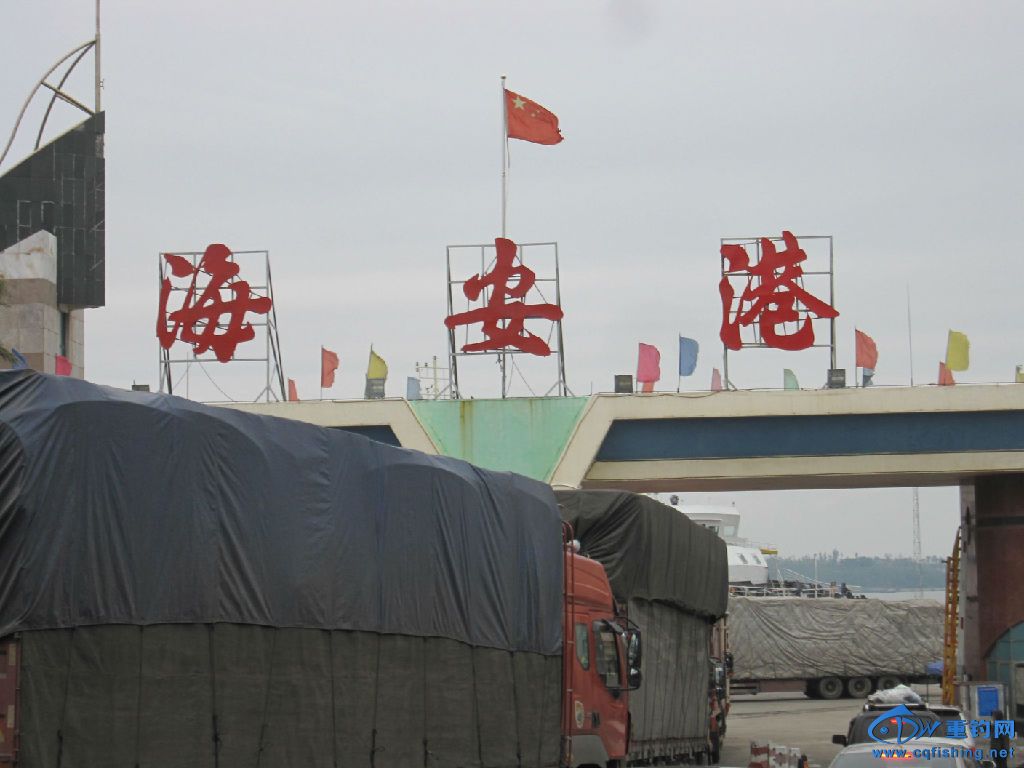 照片 194.jpg
