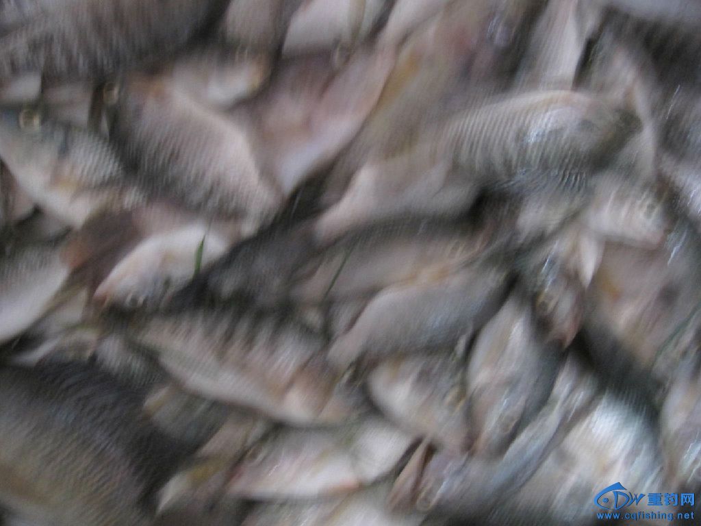 照片 344.jpg