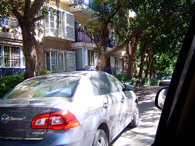 DSC00739_.jpg