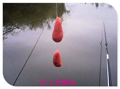IMG00084.jpg