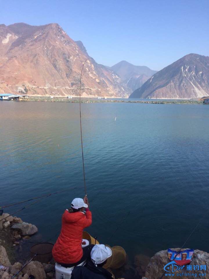 QQͼƬ20150112212955.jpg
