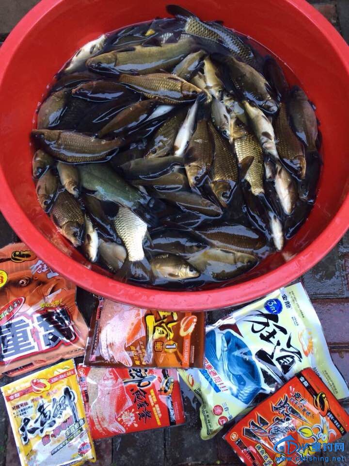 QQͼƬ20150112213007.jpg