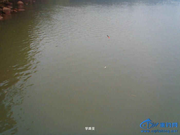 P1030183.JPG
