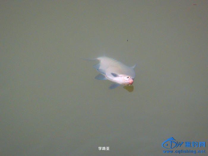 P1030187.JPG