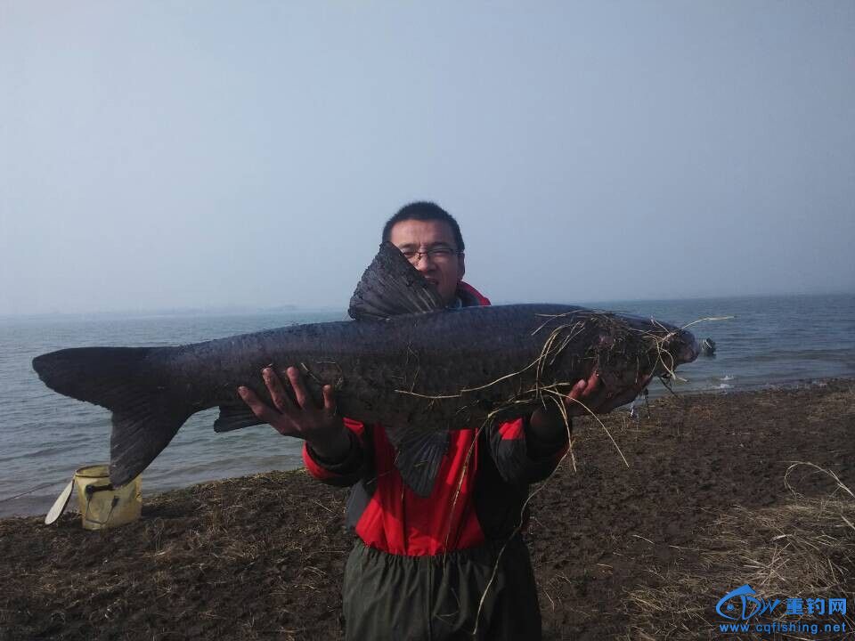QQͼƬ20141207211402.jpg
