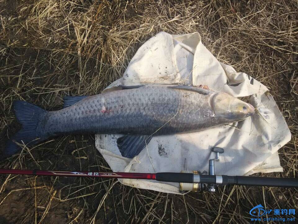 QQ图片20141207211409.jpg