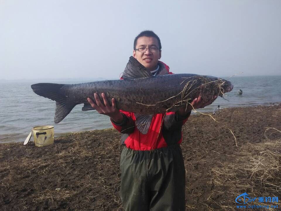 QQ图片20141207211521.jpg