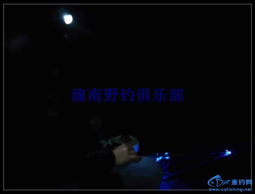 psb (11).jpg