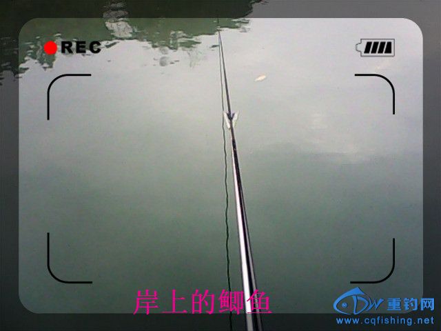 IMG00108.jpg