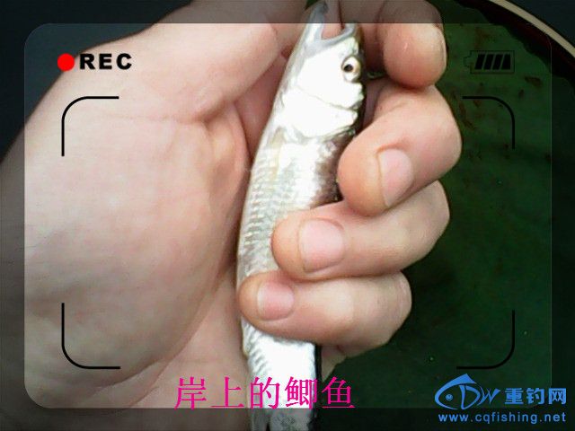 IMG00118.jpg
