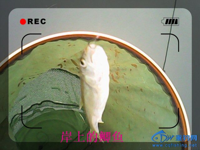 IMG00120.jpg