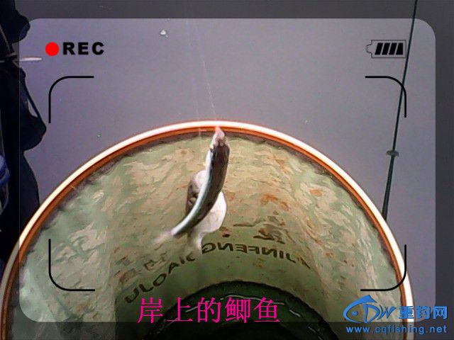 IMG00121.jpg