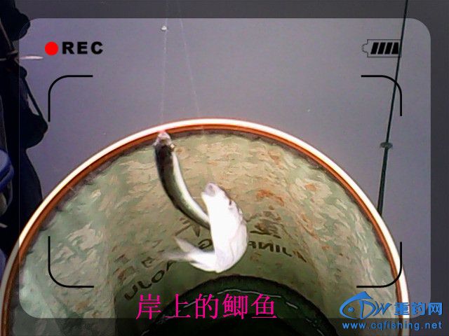 IMG00122.jpg