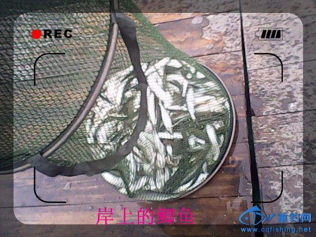 IMG00127.jpg