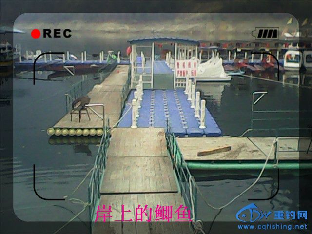 IMG00129.jpg