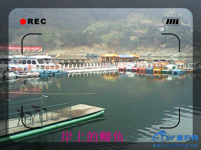 IMG00130.jpg