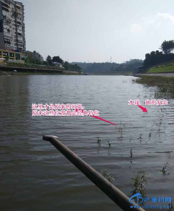 QQ截图20150129131236.jpg