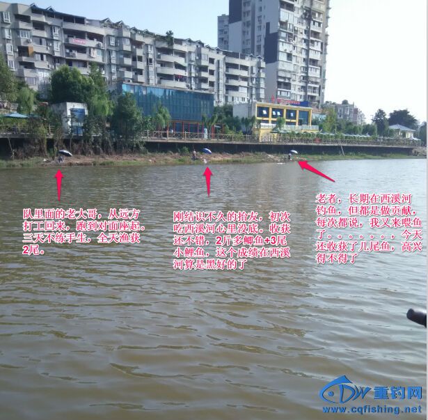 QQ截图20150129131224.jpg