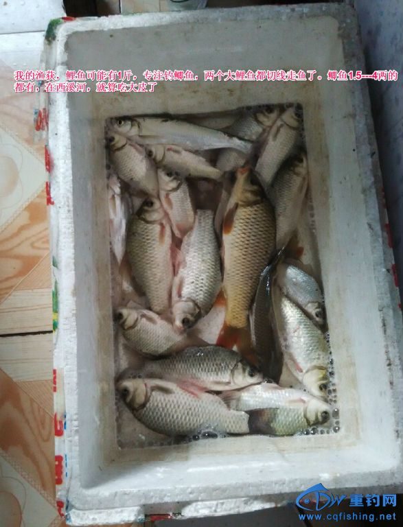 QQ截图20150129131303.jpg