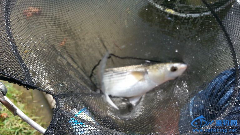 20141012_145510.jpg