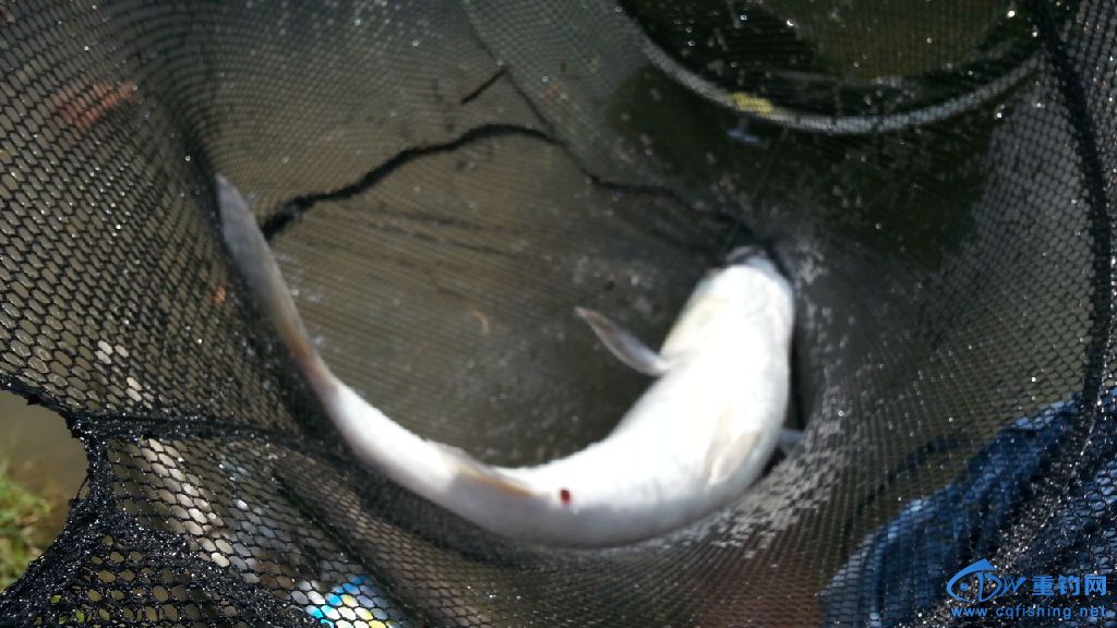 20141012_145513.jpg