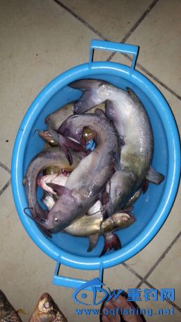 20141012_192935.jpg