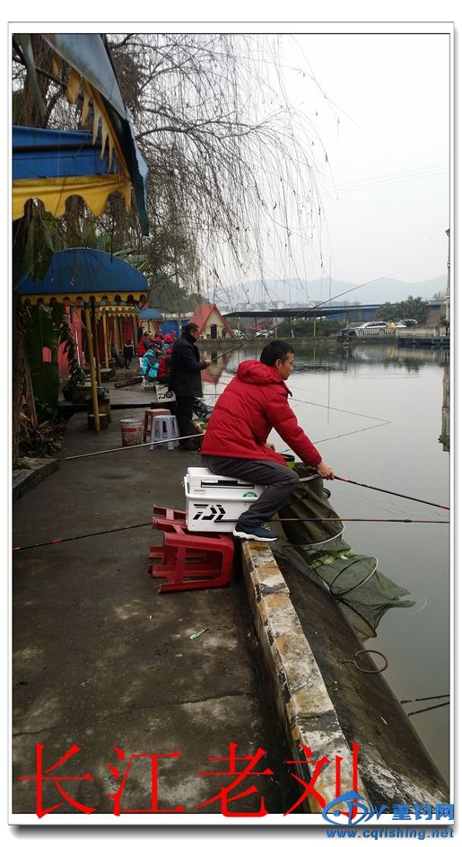 20150130_145626.jpg