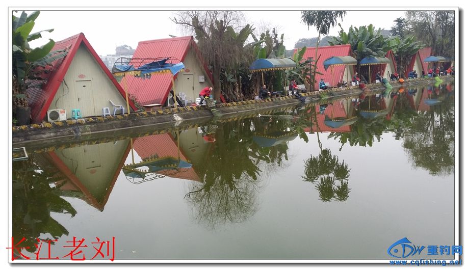 20150130_145729.jpg