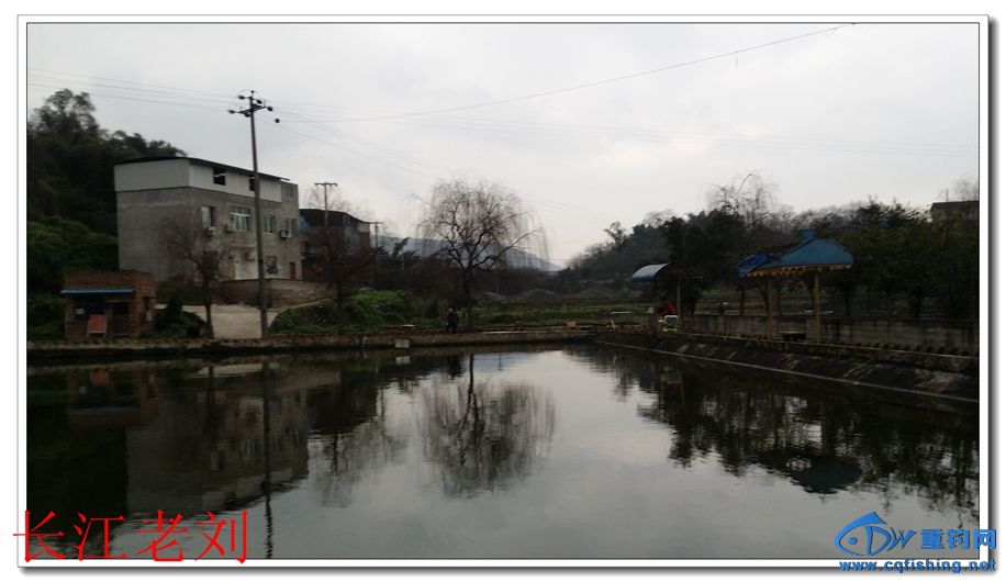 20150130_161747.jpg