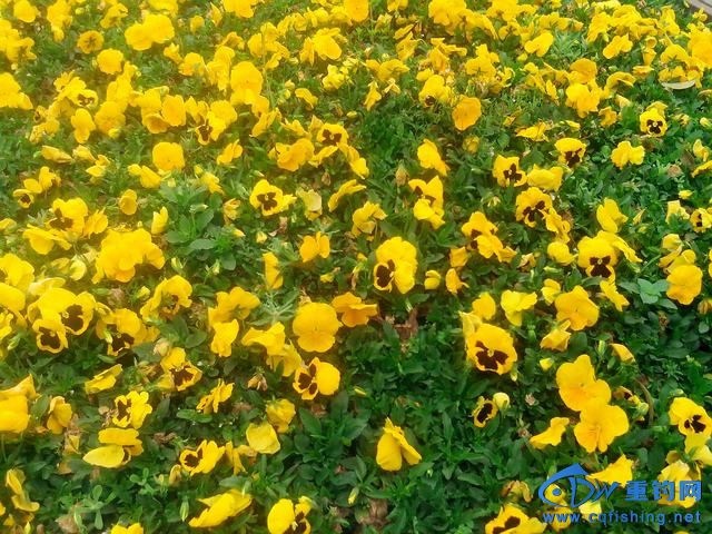 IMG_20130311_111215.jpg