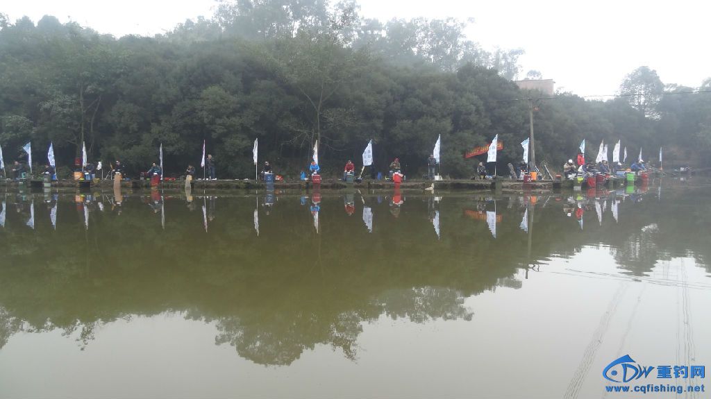 DSC03010.JPG