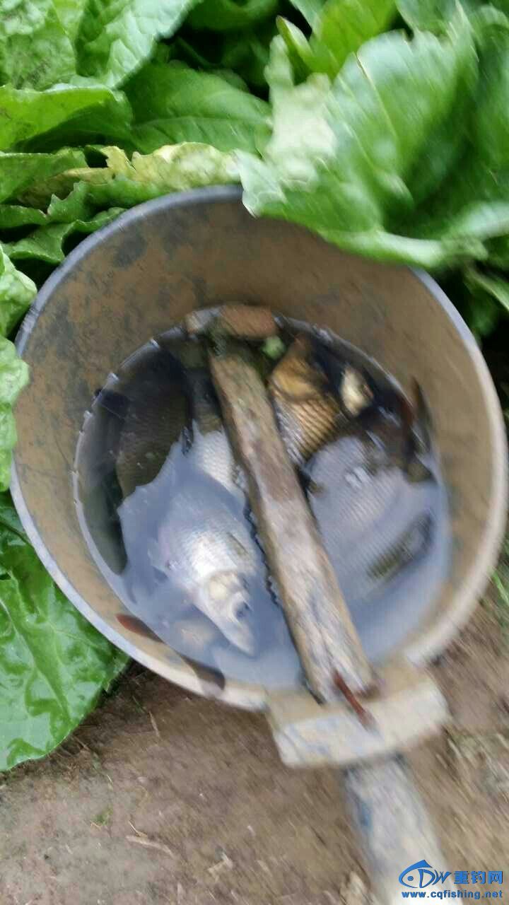 mmexport1423596757873 - 副本.jpg